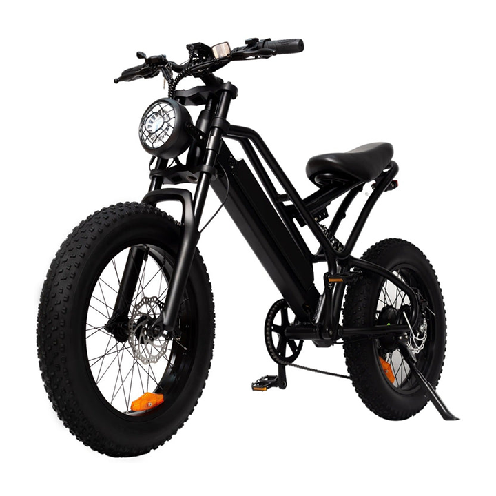 ELECTRIC BIKE SM26 - 750w