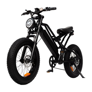 ELECTRIC BIKE SM26 - 750w