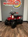 ATV - 110cc