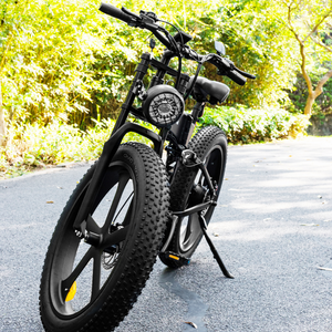 ELECTRIC BIKE SM22 - 1000W - Foldable