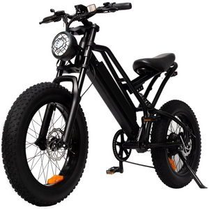 ELECTRIC BIKE SM26 - 750w