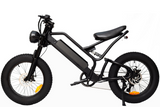 ELECTRIC BIKE SM26 - 750w